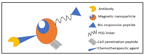 Figure 1 Schematic diagram representing the functionalization of magnetic nanoparticles 