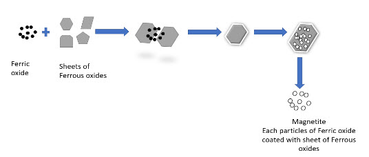 Figure 2 Flow chart of ferric oxide use in MNPs procedure