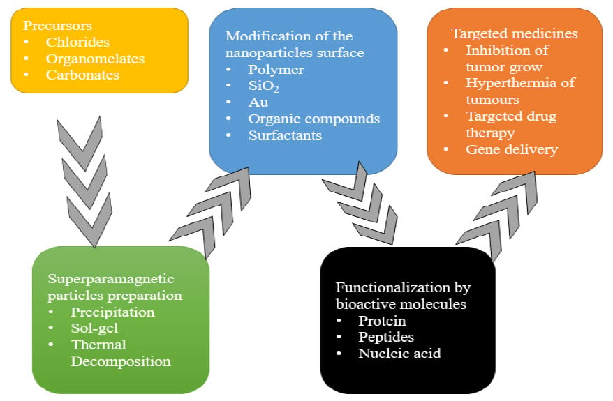 Figure 4 Process of magnetic nanoparticles preparation as nanocarrier