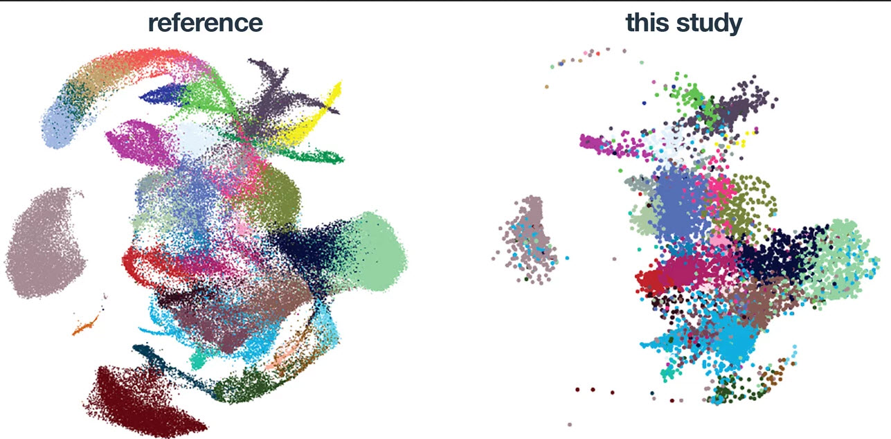 cell transcriptome analysis