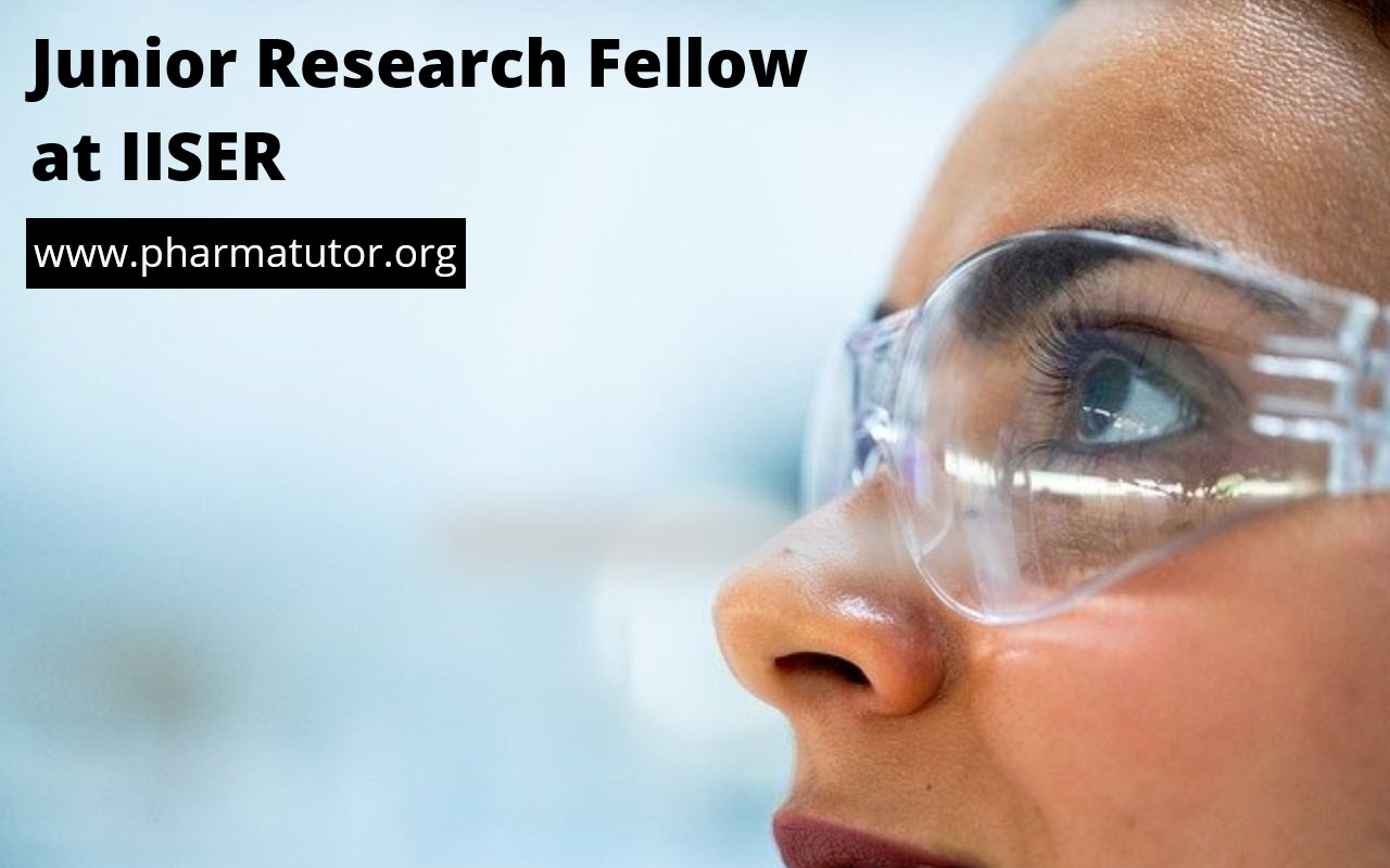 duties of junior research fellow