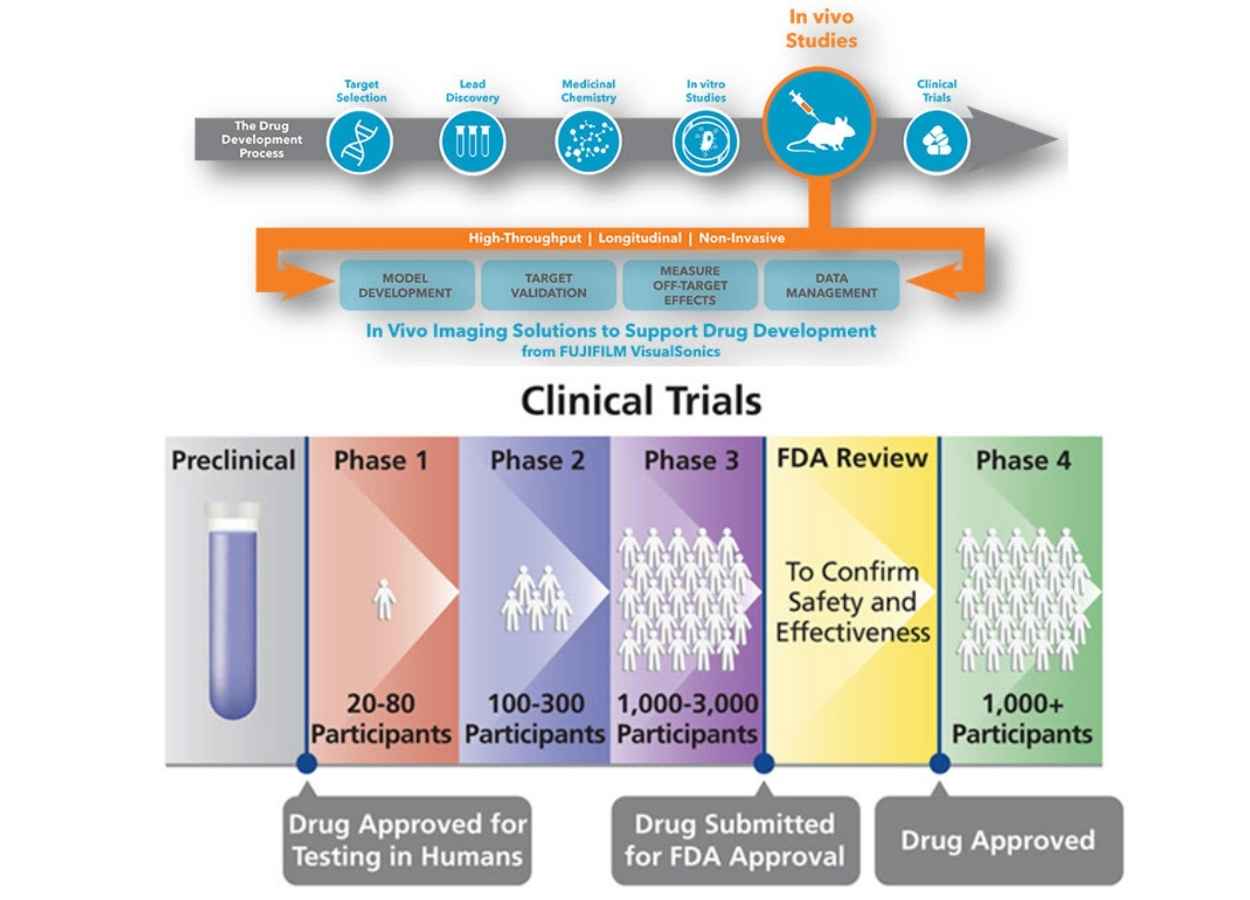 Polymorphism in Pharmaceutical Drug Development