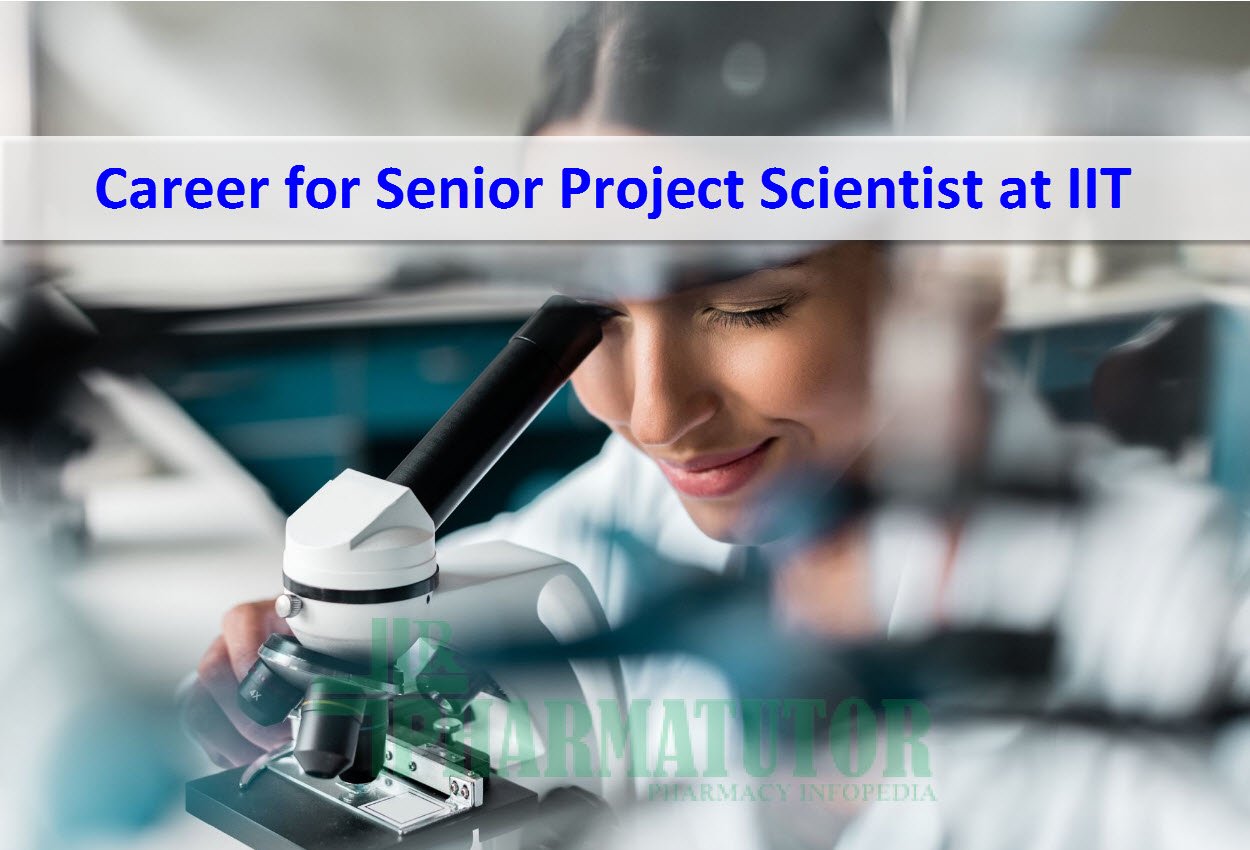 Project Scientist job at IIT