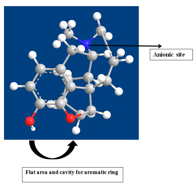 Flat area and cavity for aromatic ring