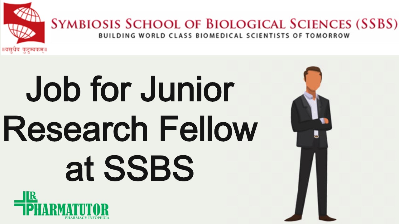 role of junior research fellow