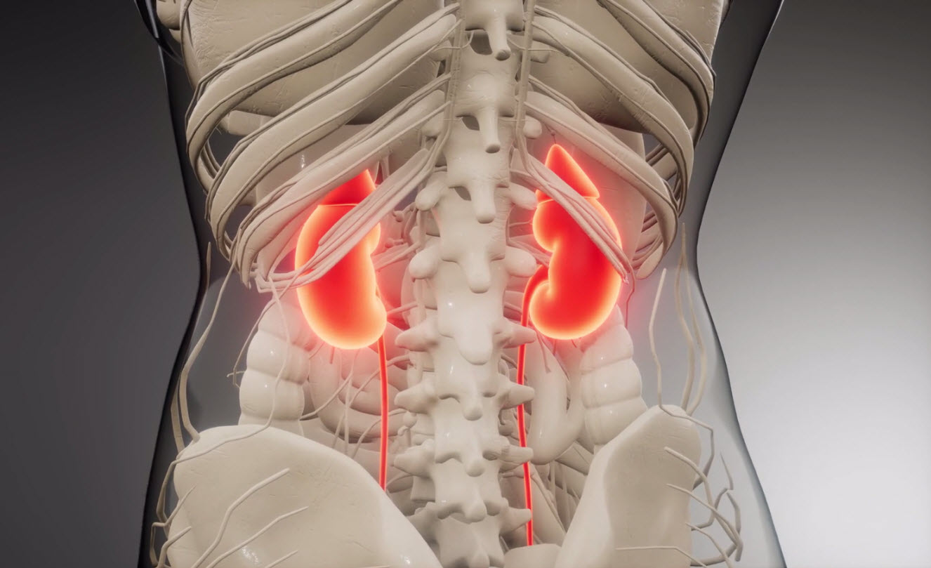 kidney cancer paradigm 