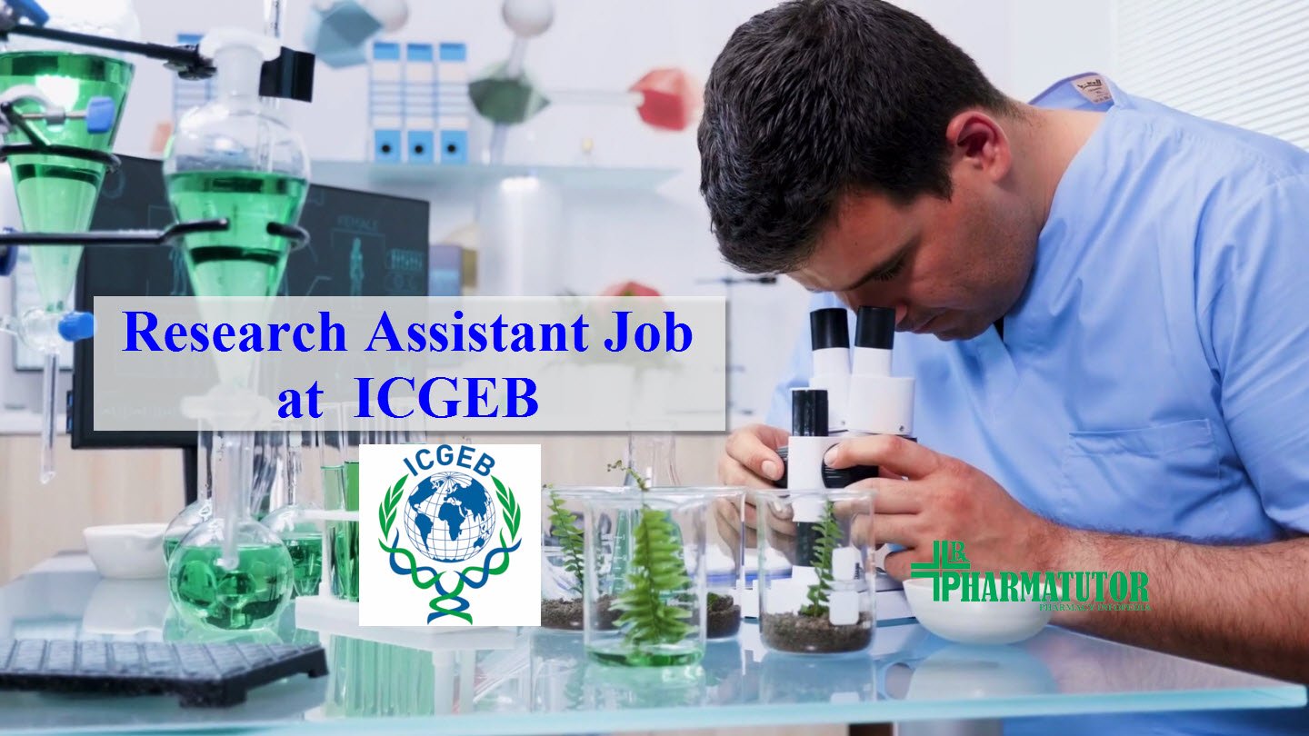 Research assistant jobs melbourne seek