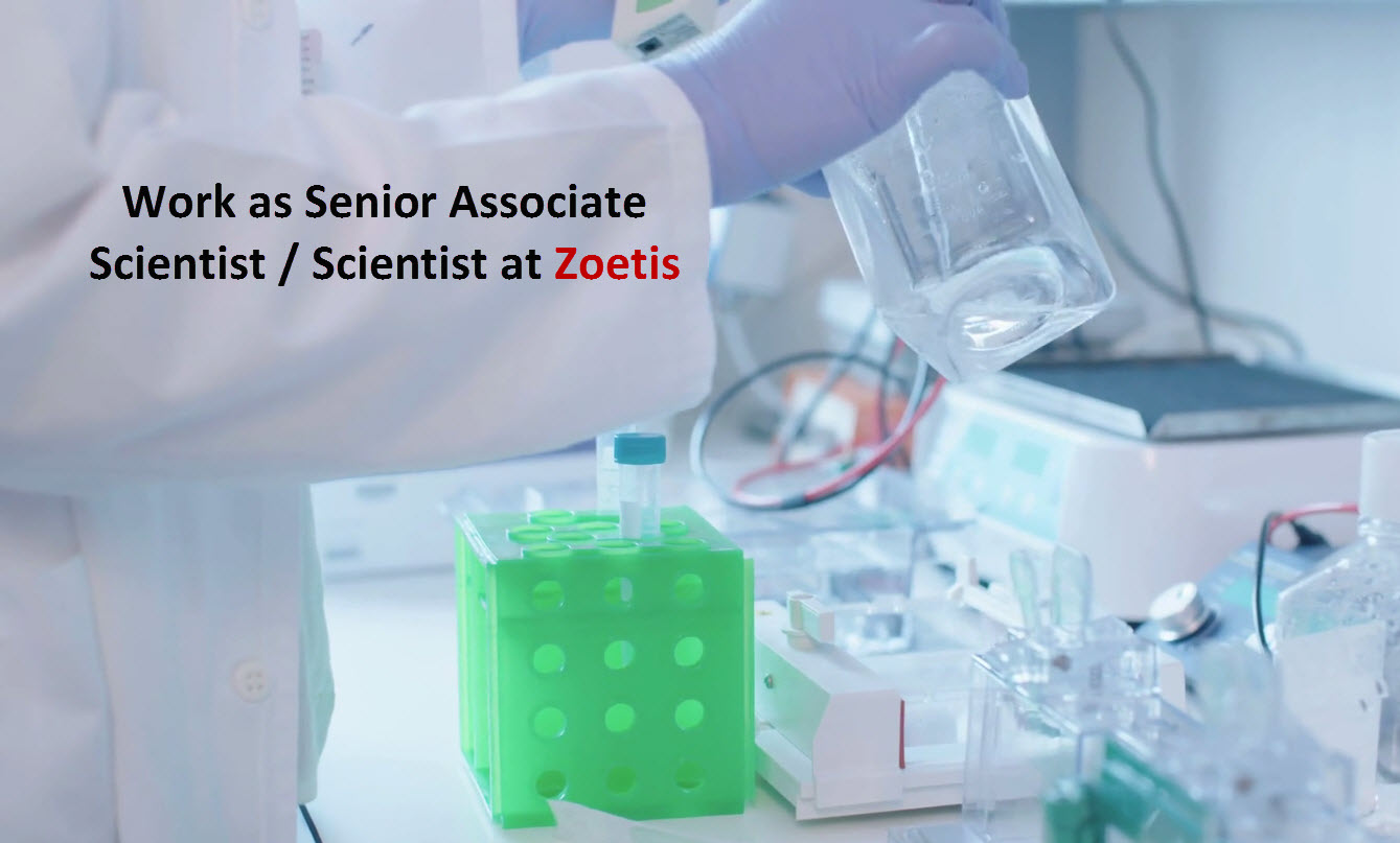 scientist job at zoetis