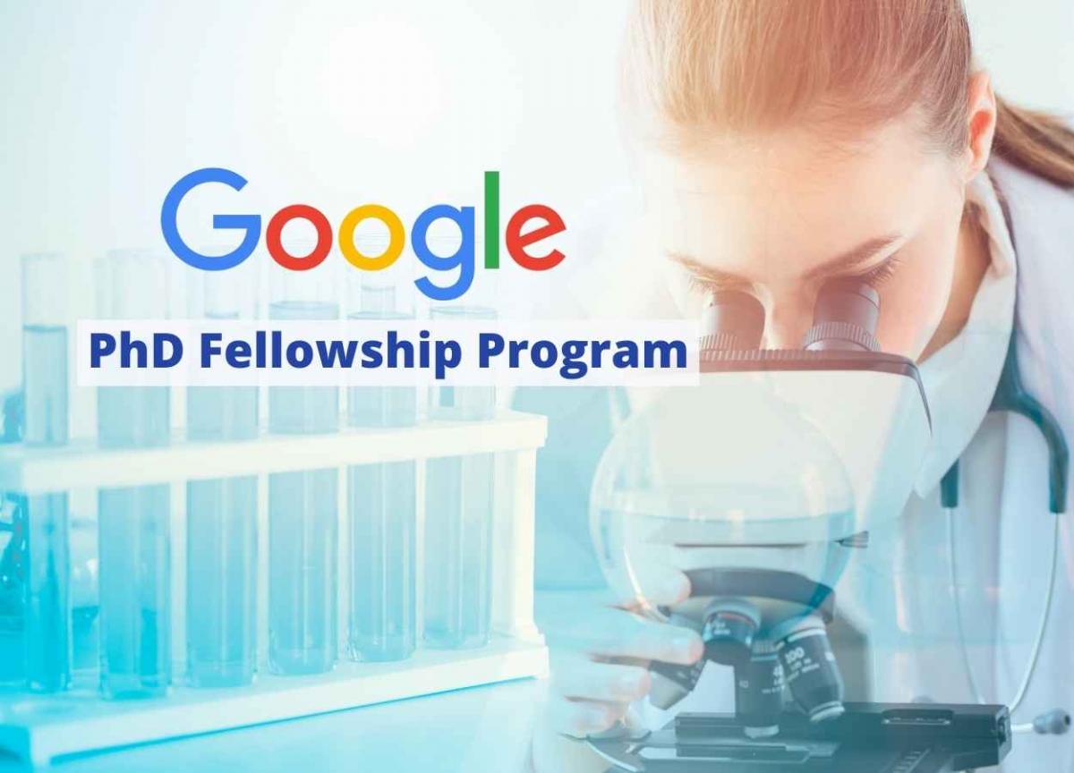 what is a phd fellowship program