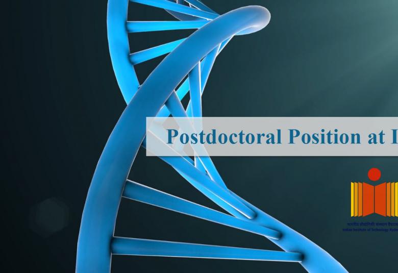 Postdoctoral Position on Stem Cell Engineering and Regenerative Medicine at IIT