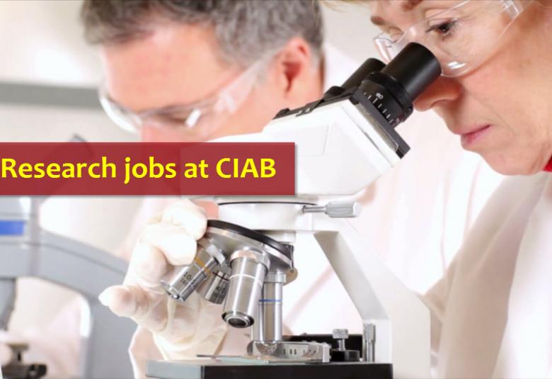 Research jobs for Ph.D, M.Pharm, M.Sc at Center of Innovative and Applied Bioprocessing
