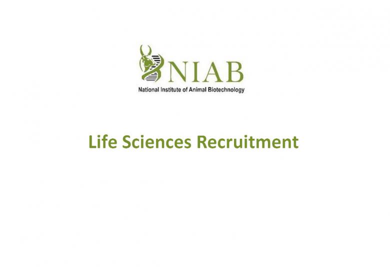 Vacancy for Project Associate at NIAB