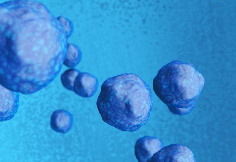 Hematopoietic Stem Cell Transplants May Provide Long-Term Benefit