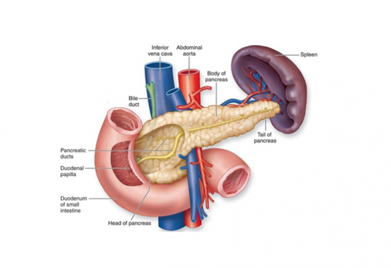 NATEGLINIDE IN THE MANAGEMENT OF TYPE 2 DIABETES