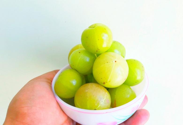 Amalaki Rasayana is effective in cardiac hypertrophy