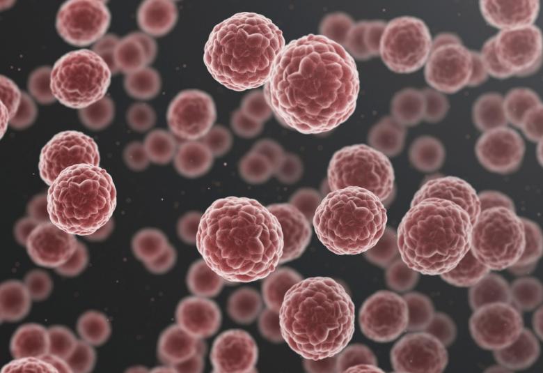 Cancer cells waste so much energy