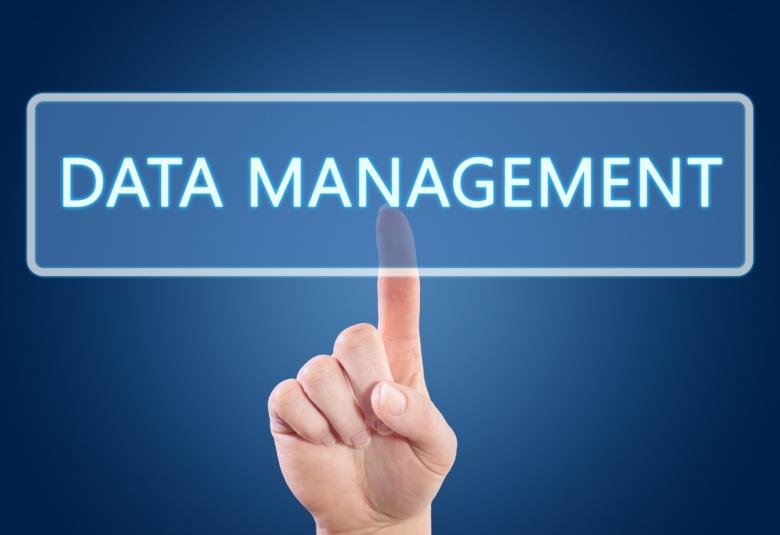 Require Associate Data Manager at Pfizer