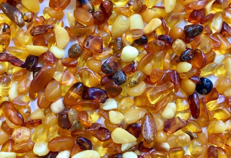 Paleopharmaceuticals from Baltic amber might fight drug-resistant infections 