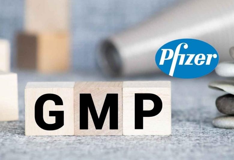 Work as Executive GMP training at Pfizer