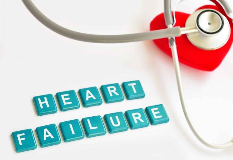 Heart cell protein could lead to new treatments for heart failure and recovery