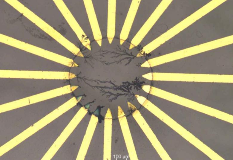 Implantable AI system at the pinnacle