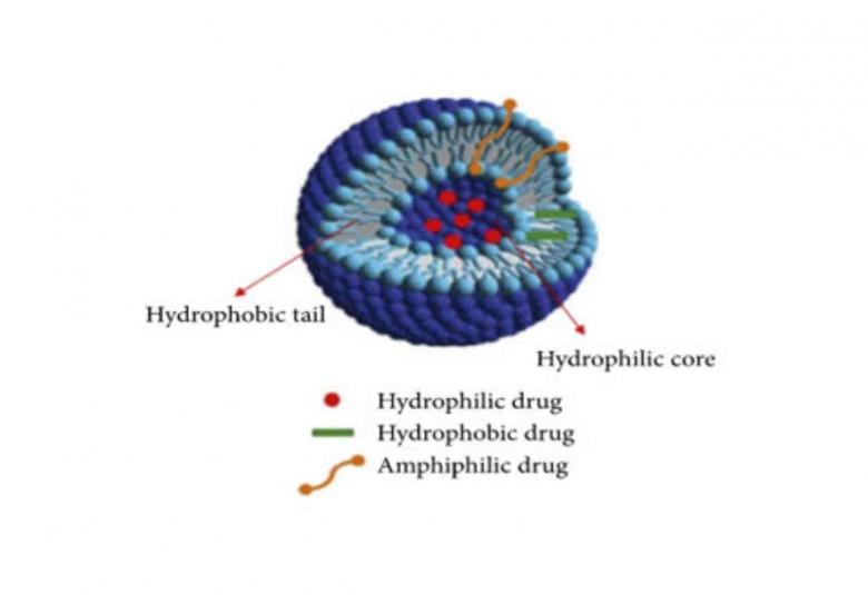 Niosomes as Novel Drug Delivery System