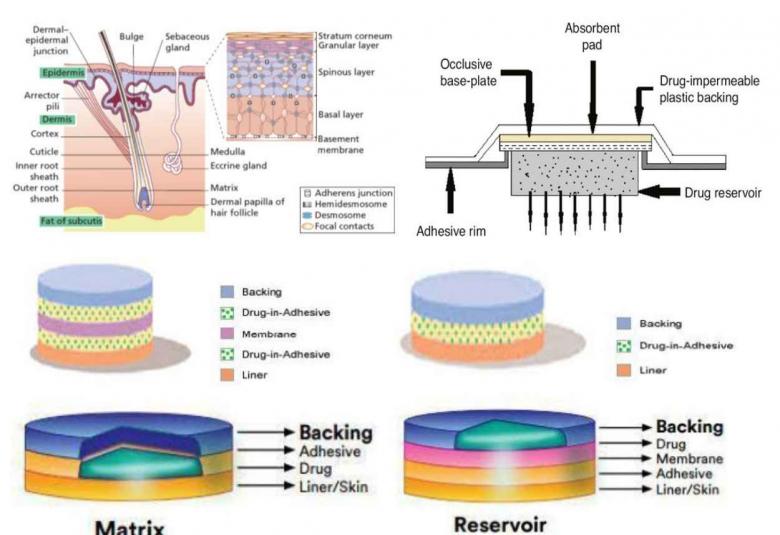 Transdermal Drug Delivery System