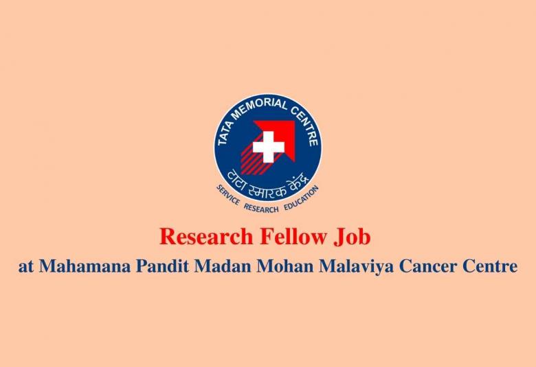Research Fellow Job at MPMMCC