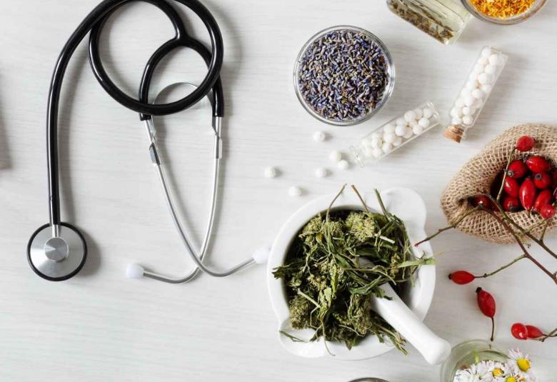 WHO establishes the Global Centre for Traditional Medicine in India