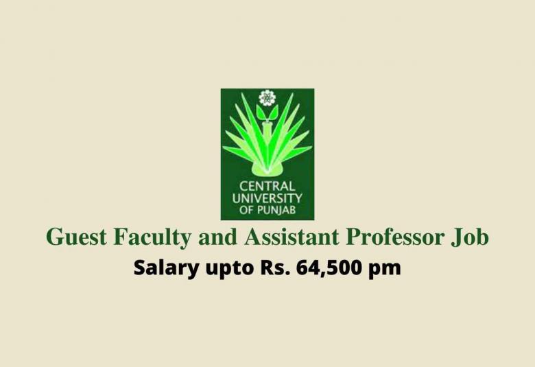 Job for Guest Faculty and Assistant Professor at Central University of Punjab