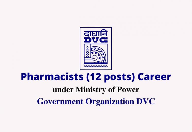 Government Organization DVC Job