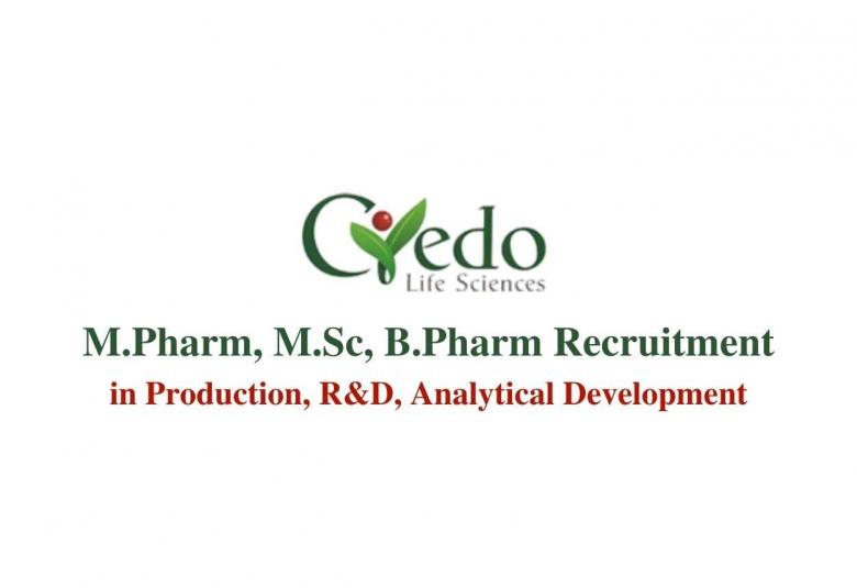 Credo Life Job