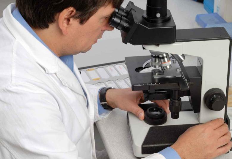 Microscopy reveals mechanism behind new CRISPR tool 