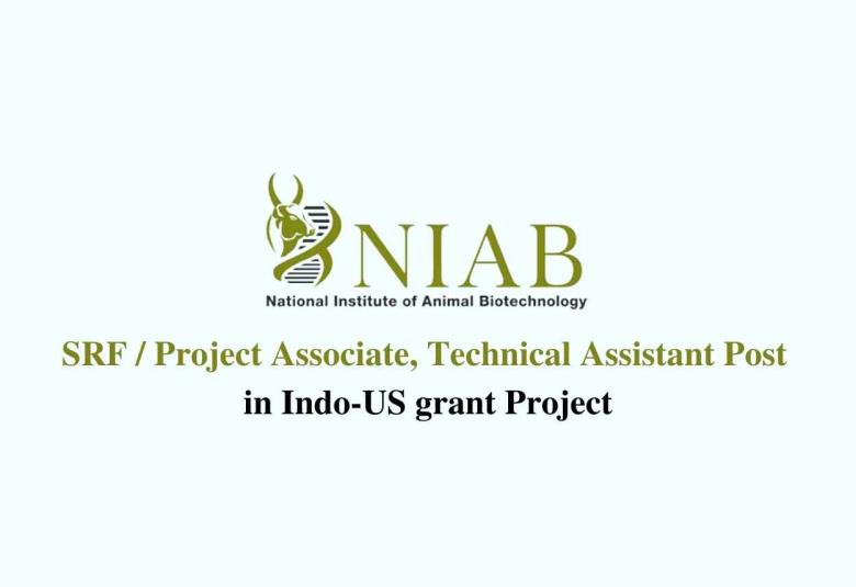 Job for SRF/ Project Associate, Technical Assistant in Indo-US grant Project, NIAB