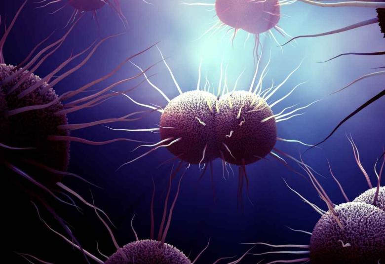 Mutation in Key Molecules Could Stop Gonorrhea Infection
