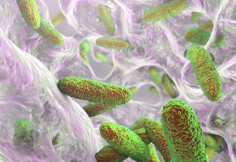 Anti Malarial medicine has potential to kill MDR Bacteria