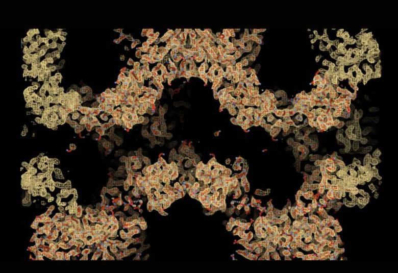 Discovery could lead to new drugs to block protein that fuels bowel cancer