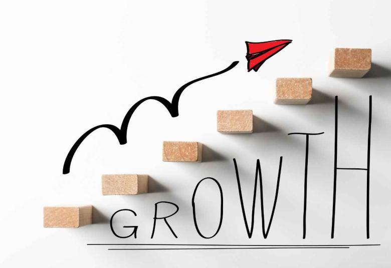 Sun Pharma shows 13 percent growth for Q2