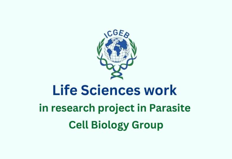Life Sciences work in a research project in Parasite Cell Biology Group at ICGEB