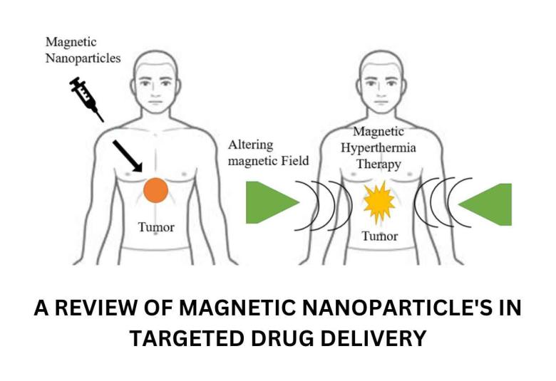 A REVIEW OF MAGNETIC NANOPARTICLES IN TARGETED DRUG DELIVERY