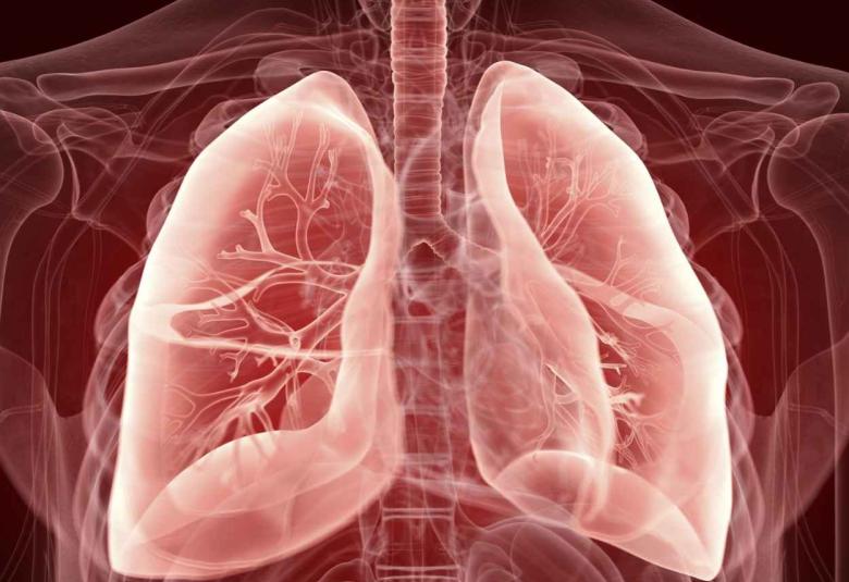 A lung injury therapy derived from adult skin cells
