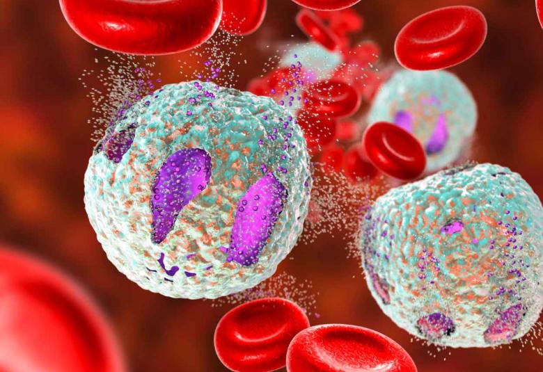 How Immune Cells Contribute to Alzheimer’s Disease