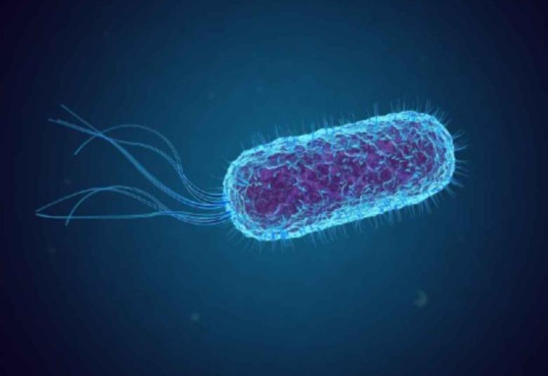 Breakthrough in treatment for world’s leading cause of kidney failure in children