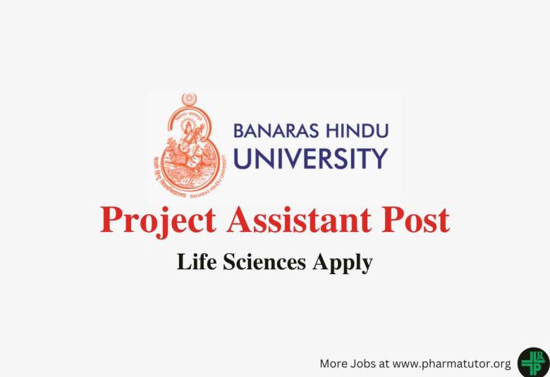 Applications are invited for post of Project Assistant at Banaras Hindu University