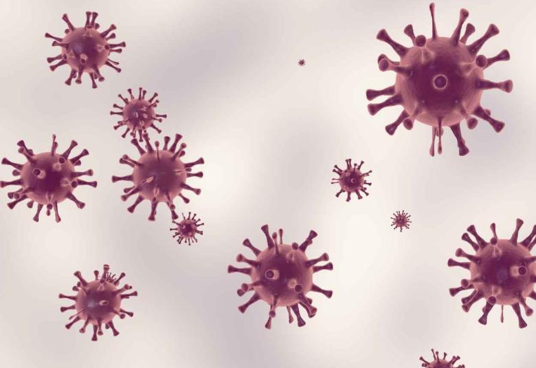 Nano-sized cell particles are promising intervention tool in treating infectious diseases