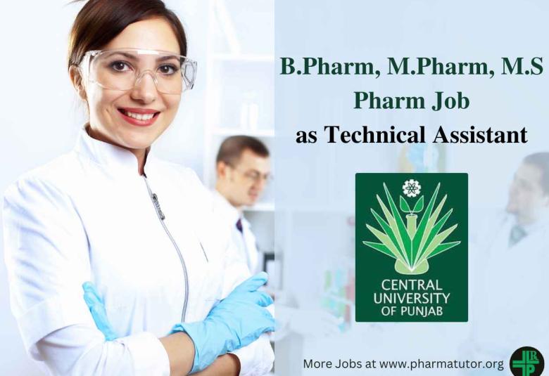 Job for B.Pharm, M.Pharm, M.S Pharm as Technical Assistant at Central University of Punjab