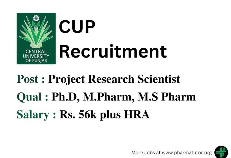 Central University of Punjab job