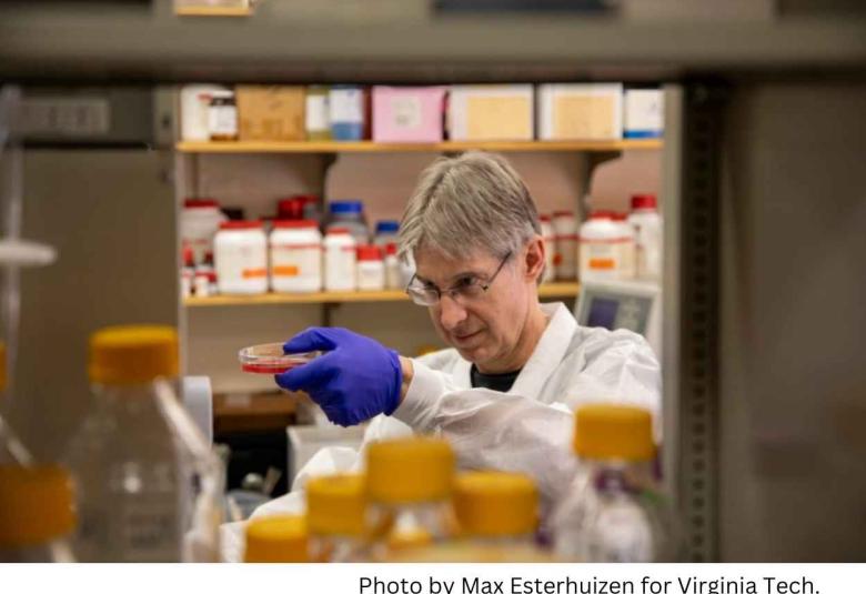 Virginia Tech researchers discover that blocking an essential nutrient inhibits malaria parasite growth