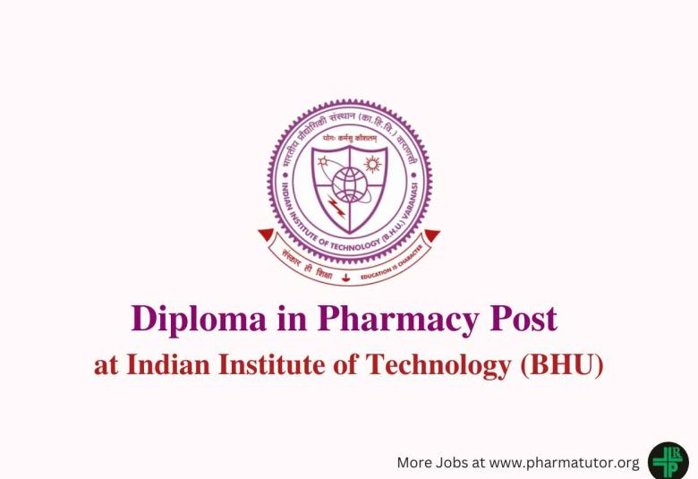 Job for Diploma in Pharmacy at Indian Institute of Technology