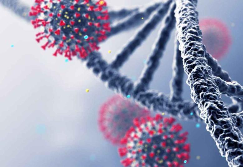 Key Gene to Protection from Severe Illness & Death from COVID-19 Infections in Men Under Age 75